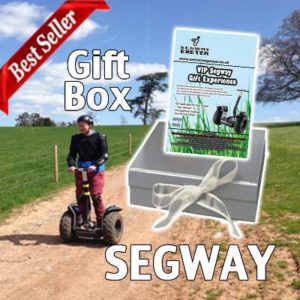 segway gift box