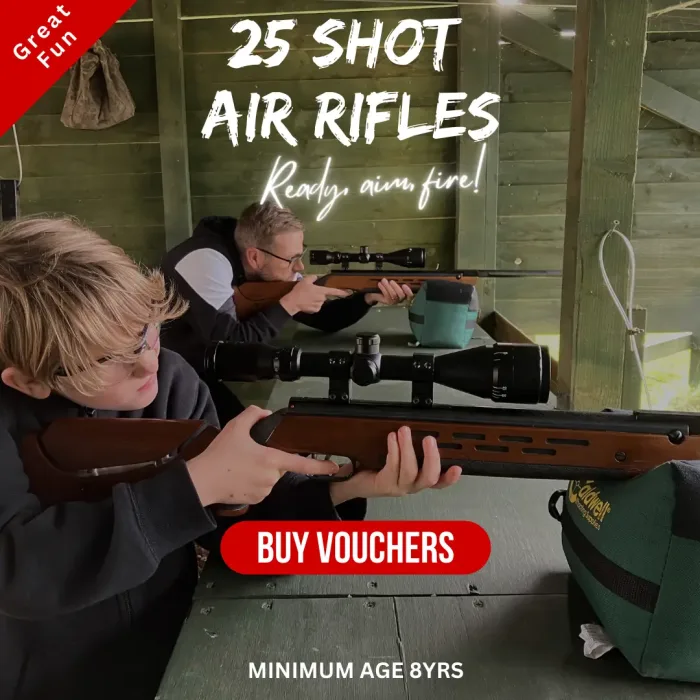 Air Rifles For 2